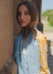 Qalamkar - Asra- Summer Lawn