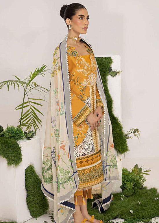 OLIVE (ALV-10) - Summer Lawn Asifa and Nabeel