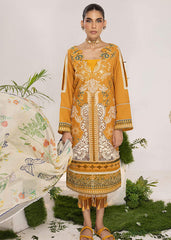 OLIVE (ALV-10) - Summer Lawn Asifa and Nabeel
