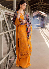 নুরেহ - NS - 94 - সেলাইবিহীন