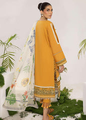 OLIVE (ALV-10) - Summer Lawn Asifa and Nabeel
