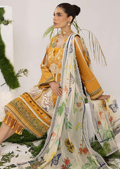 OLIVE (ALV-10) - Summer Lawn Asifa and Nabeel