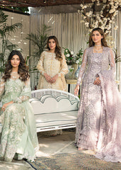 Saira Rizwan - DAISY Saira Rizwan