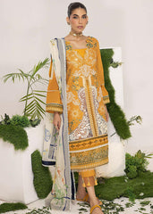 OLIVE (ALV-10) - Summer Lawn Asifa and Nabeel