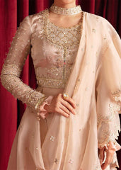 Qalamkar Reena