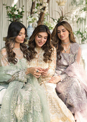 Saira Rizwan - DAISY Saira Rizwan