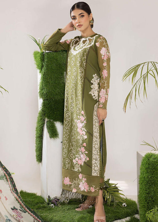 OLIVE (ALV-10) - Summer Lawn