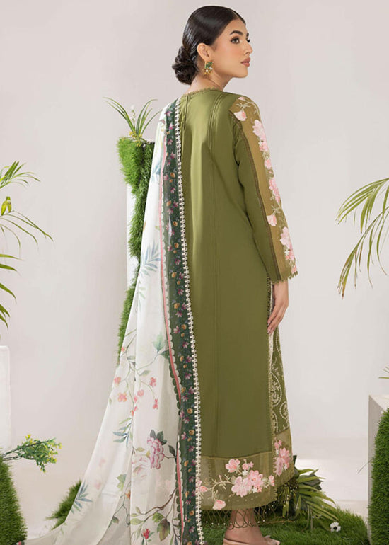OLIVE (ALV-10) - Summer Lawn