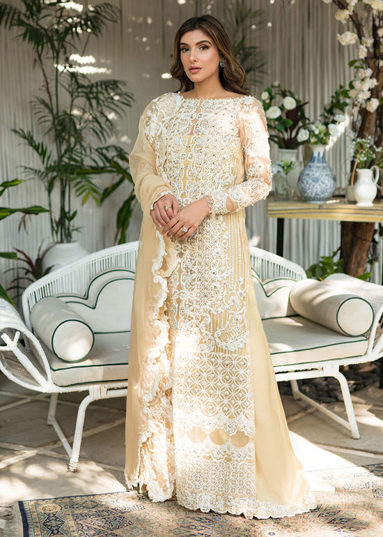Saira Rizwan - DAISY Saira Rizwan