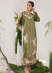 OLIVE (ALV-10) - Summer Lawn