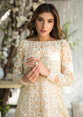 Saira Rizwan - DAISY Saira Rizwan