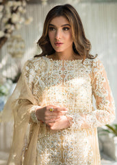 Saira Rizwan - DAISY Saira Rizwan