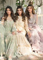 Saira Rizwan - DAISY Saira Rizwan