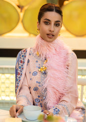 Mushq - Regal Regent mushq