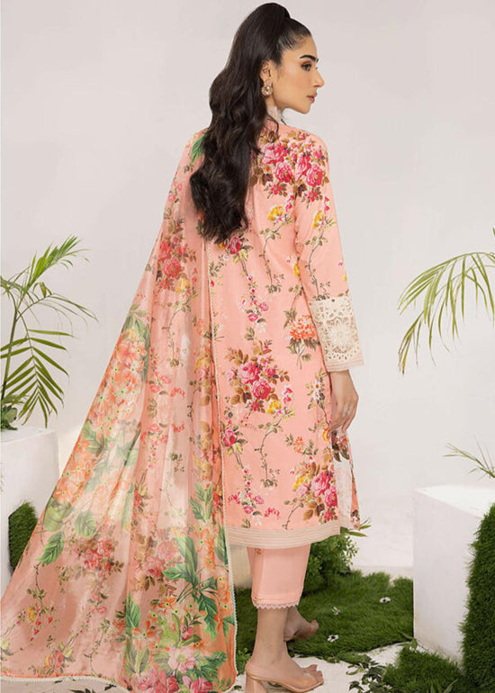 PEONY (ALV-08) - Summer Lawn