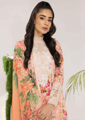PEONY (ALV-08) - Summer Lawn