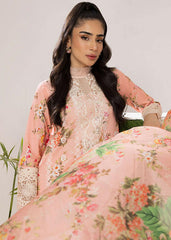 PEONY (ALV-08) - Summer Lawn