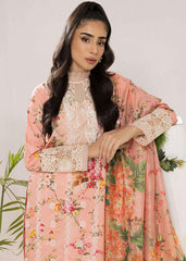PEONY (ALV-08) - Summer Lawn