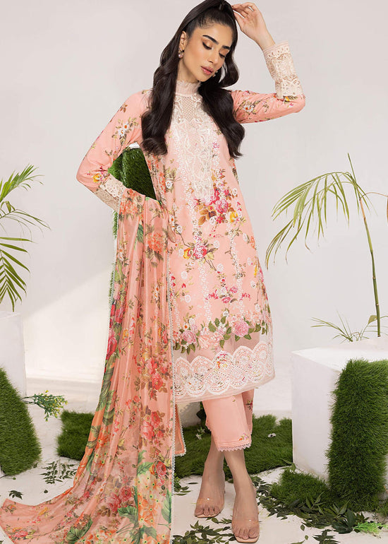 PEONY (ALV-08) - Summer Lawn