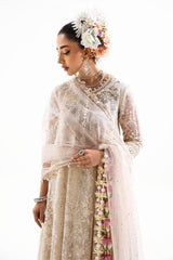 N231-003-CT sana safinaz