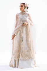 N231-003-CT sana safinaz