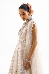 N231-003-CT