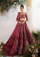 Republic Womenswear - D5 Republic Women Wear