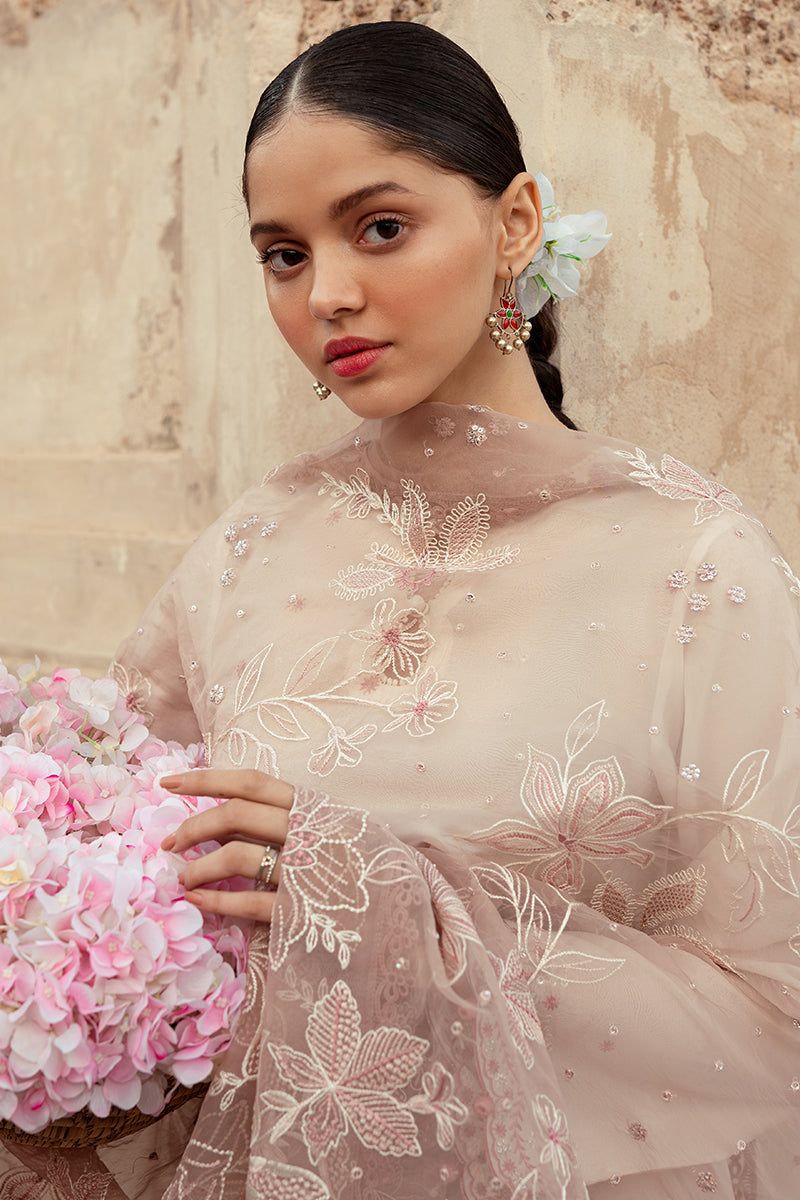 SPECKLE MESH-3 PIECE LAWN EMBROIDERED SUIT