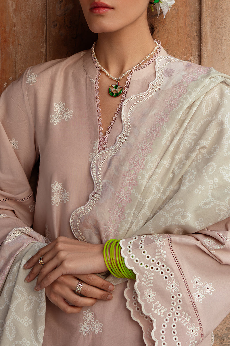 SAGE FROST-3 PIECE LAWN EMBROIDERED SUIT