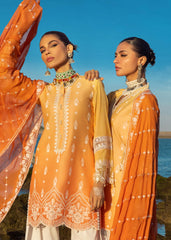 Zainab Chottani - Afsana - 8B - Summer Lawn Zainab Chottani
