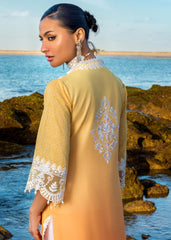 Zainab Chottani - Afsana - 8B - Summer Lawn Zainab Chottani