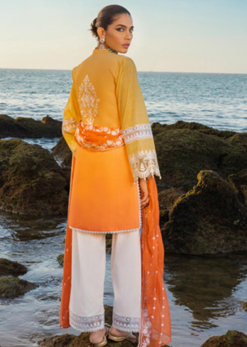 Zainab Chottani - Afsana - 8B - Summer Lawn Zainab Chottani