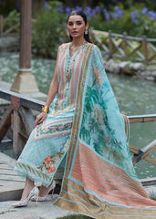 শিগার - D5 B - গ্রীষ্মকালীন লন