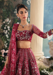 Republic Womenswear - D5 Republic Women Wear