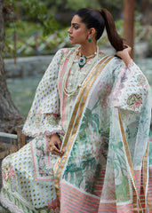 শিগার - D5 A - গ্রীষ্মকালীন লন