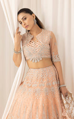 Shahnai (ANB-06) - Unstitched Asifa and Nabeel