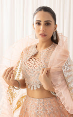 Shahnai (ANB-06) - Unstitched Asifa and Nabeel