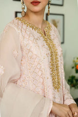 PASTEL PINK CHIKANKARI KALIDAAR Agha Noor