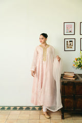 PASTEL PINK CHIKANKARI KALIDAAR