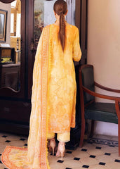 Nureh - NSG-117 - Summer Lawn