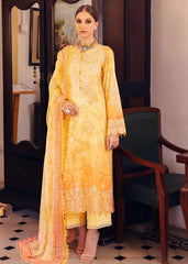 Nureh - NSG-117 - Summer Lawn
