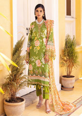 Nureh - NSG-113 - Summer Lawn